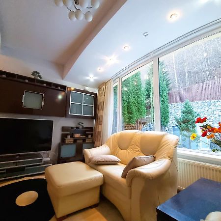 Marble Villa: Luxury Estate - Central But Intimate Sinaia Exterior foto