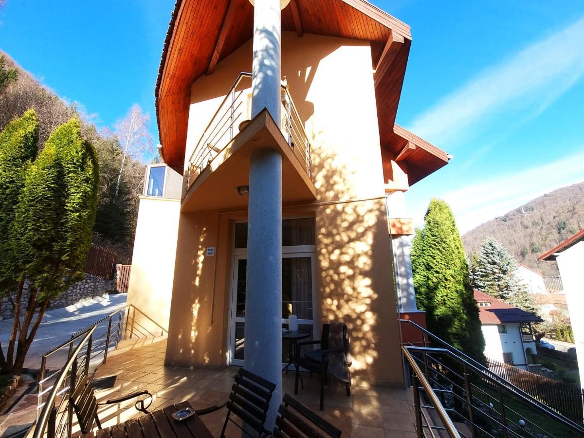 Marble Villa: Luxury Estate - Central But Intimate Sinaia Exterior foto