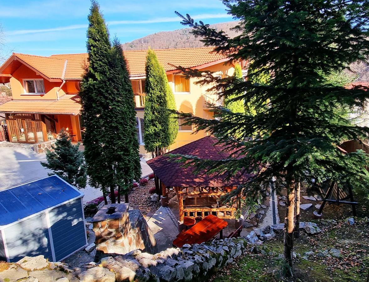 Marble Villa: Luxury Estate - Central But Intimate Sinaia Exterior foto