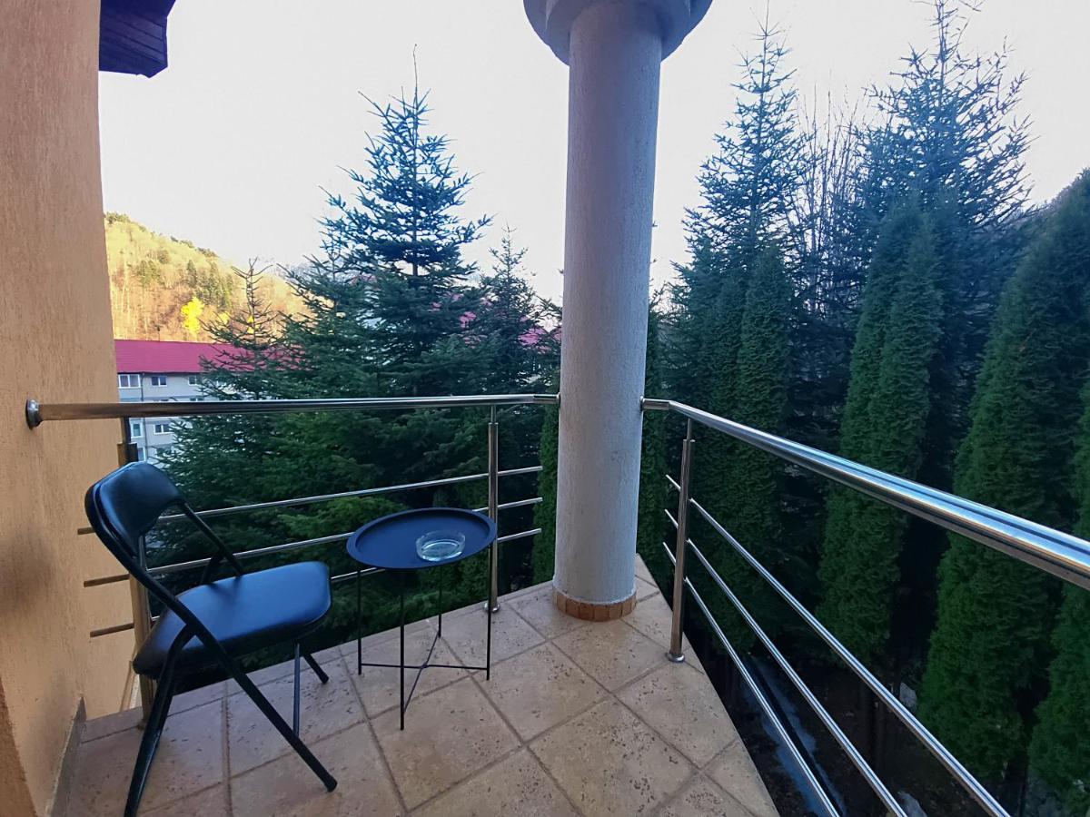 Marble Villa: Luxury Estate - Central But Intimate Sinaia Exterior foto