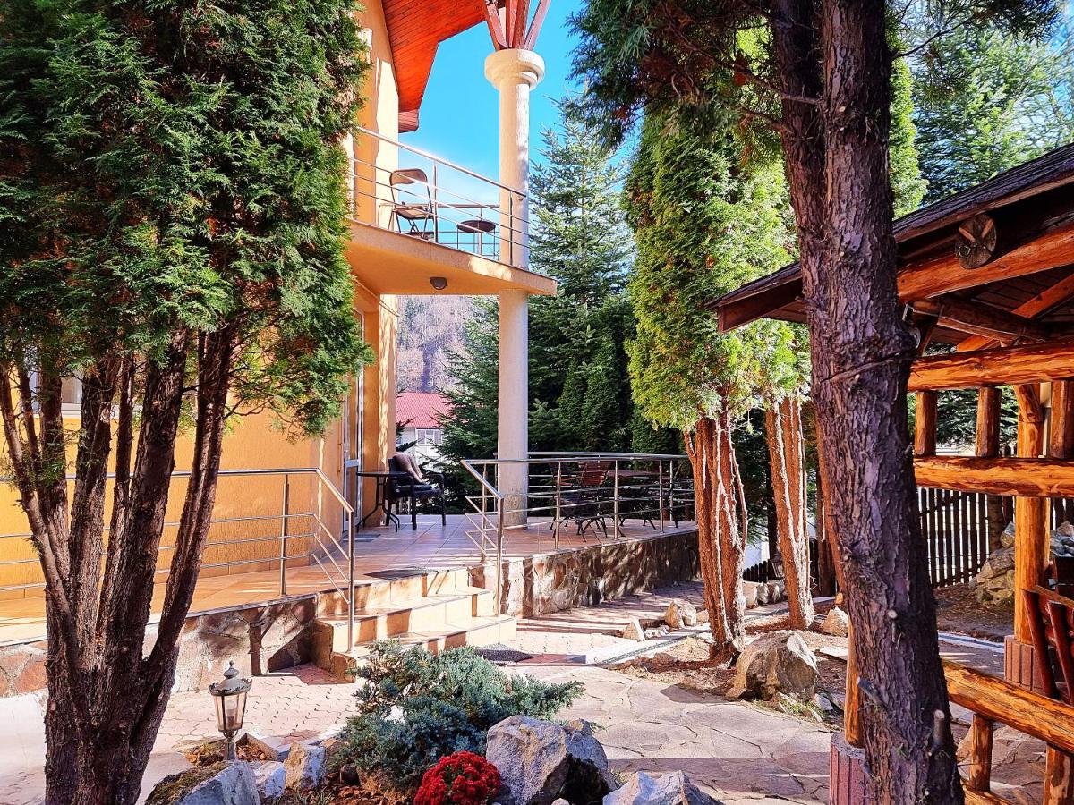 Marble Villa: Luxury Estate - Central But Intimate Sinaia Exterior foto