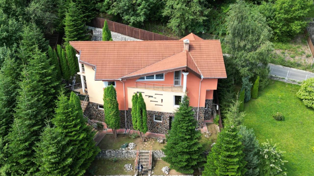 Marble Villa: Luxury Estate - Central But Intimate Sinaia Exterior foto
